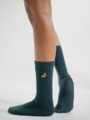 Seeds We Carry Bundle - Image 6